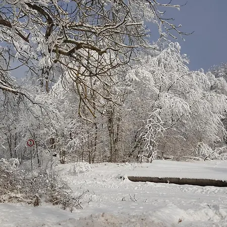 بيت للعطل Fuchswinkel Güntersberge