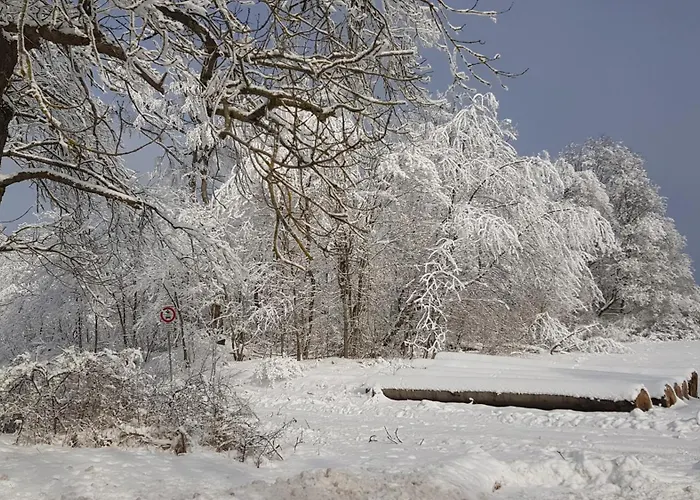 Semesterbostad Fuchswinkel Güntersberge